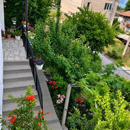 веселина - Guest house Ivaylovgrad